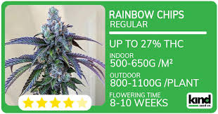 Exploring the World of Marijuana Seeds Idaho A Comprehensive Guide Exploring the World of Marijuana Seeds Idaho A Comprehensive Guide